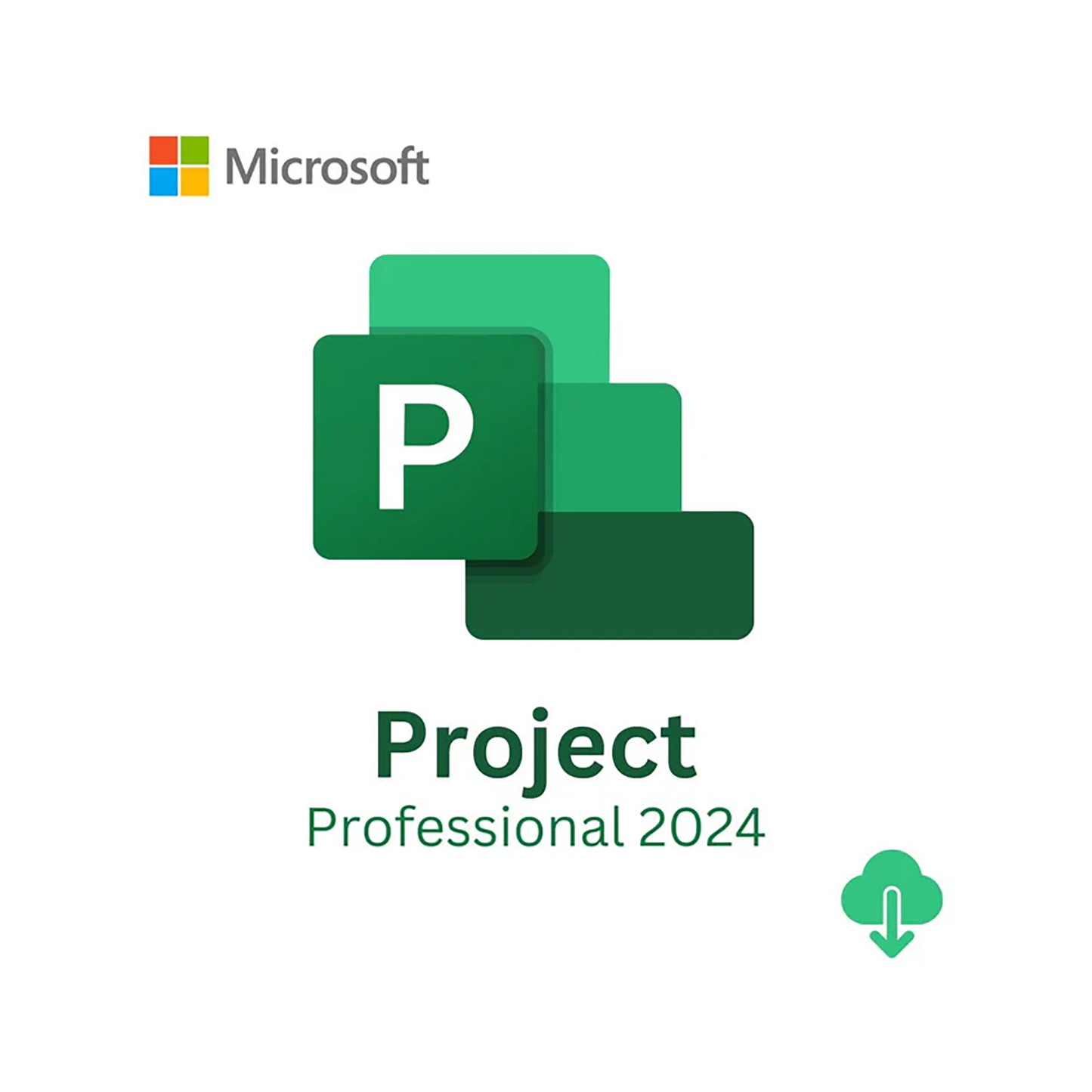 Microsoft Project Professional 2024 (ESD Lifetime License) – One-Time Purchase | Digital Download - EP2-07001